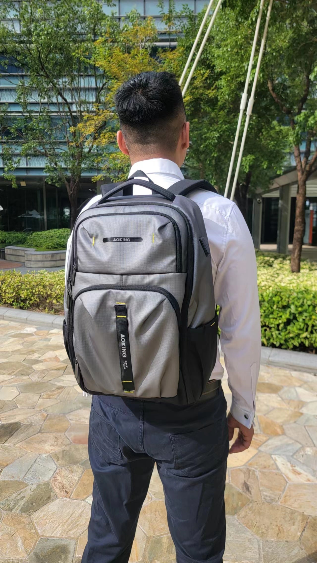 Travel business backpack SN2640 Silver